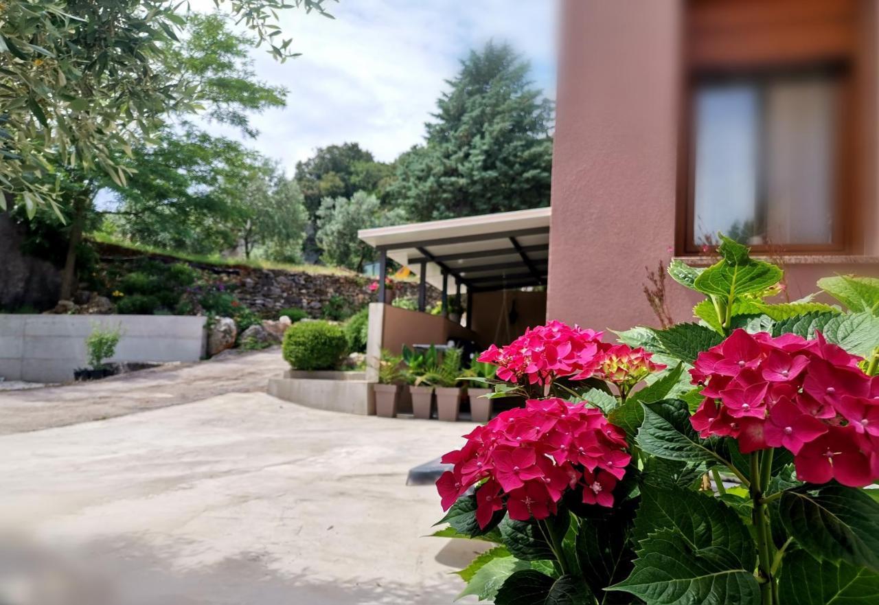 Cave With Free Parking Apartment Pula Ngoại thất bức ảnh